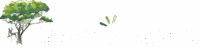Natur Elagage