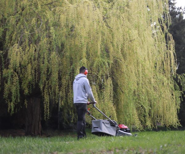 entretien espaces verts natur elagage (8)
